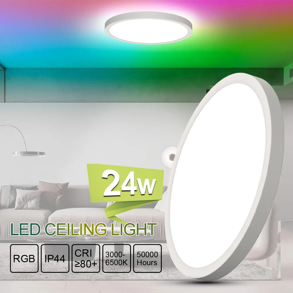 RGB LED Ceiling Light