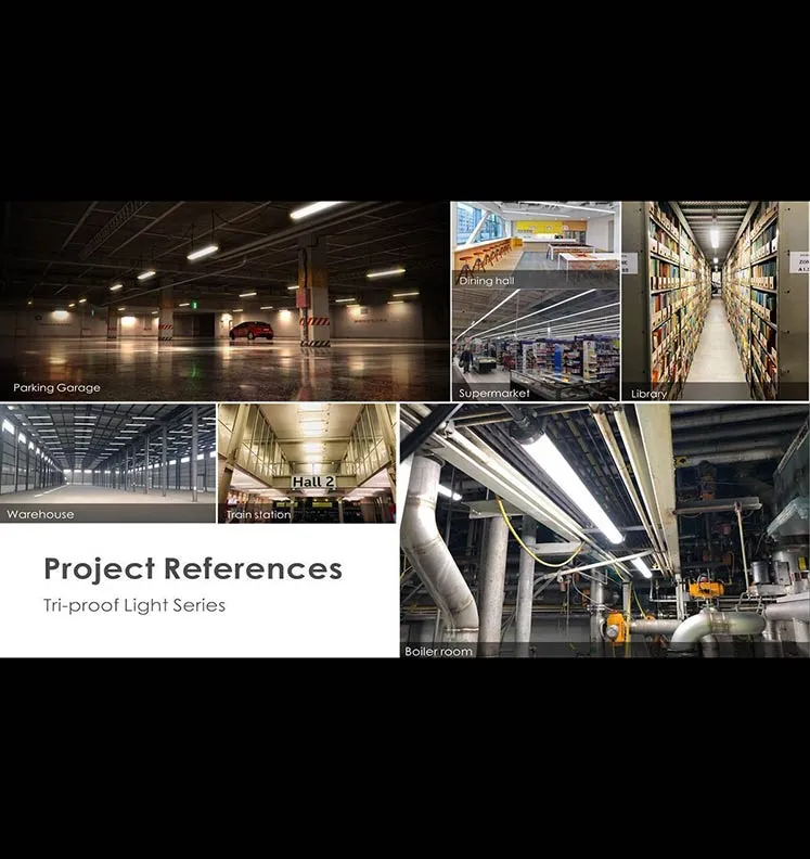 LED Tri-Proof lights